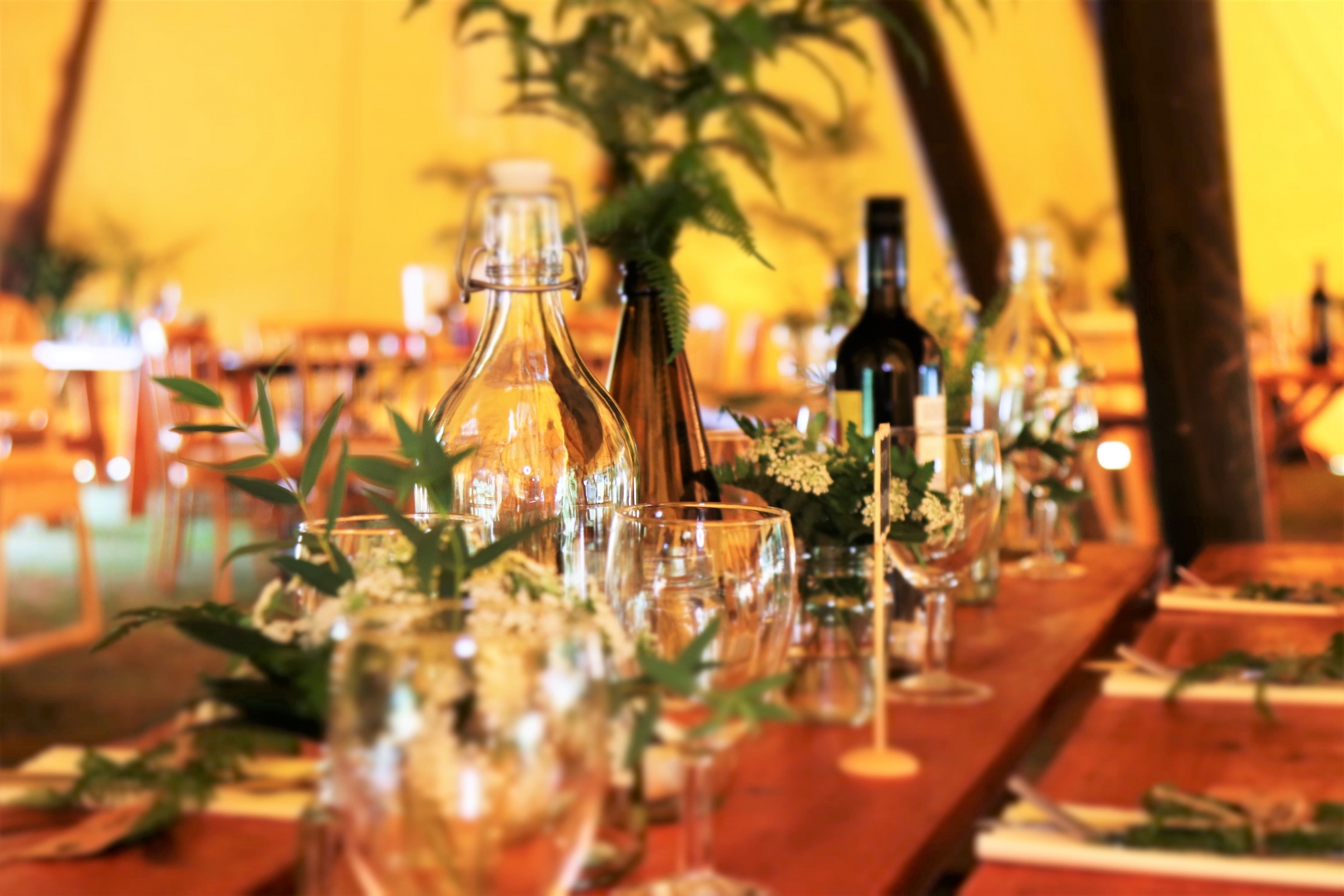 The sustainable event planning strategies 