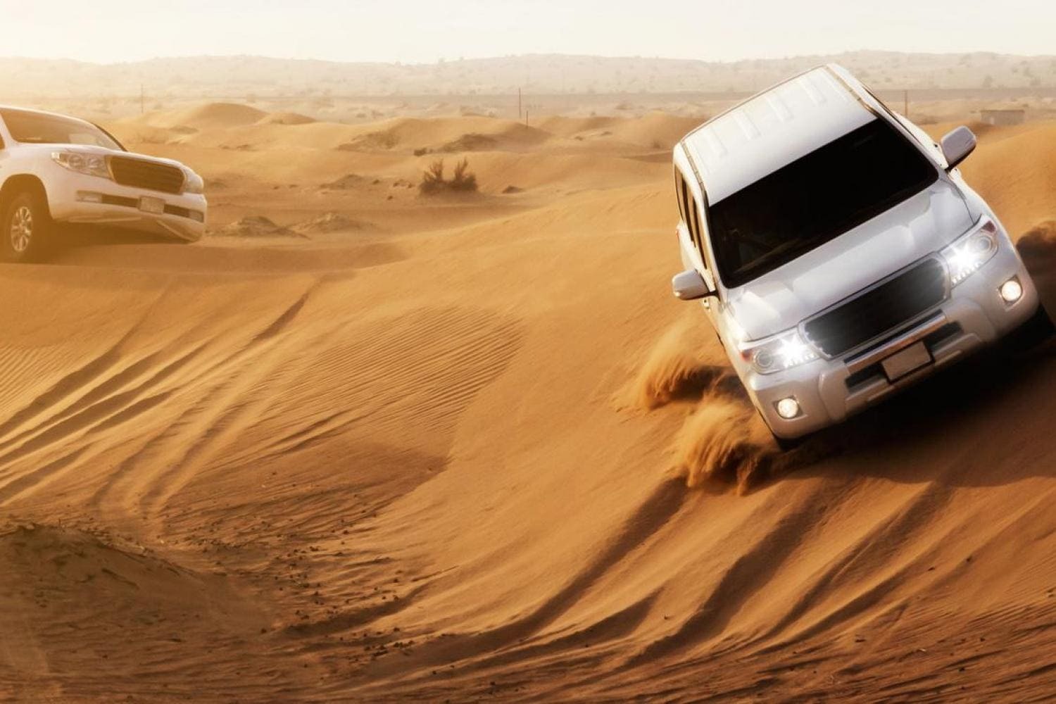 Desert Safari Dubai